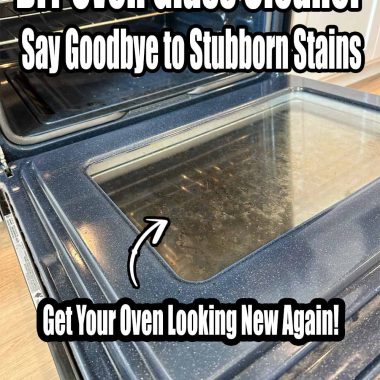 DIY Oven Glass Cleaner