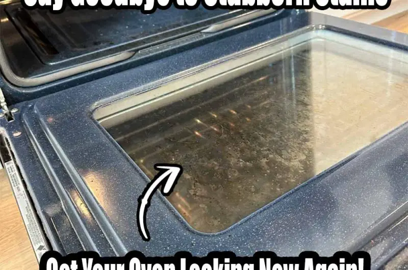 DIY Oven Glass Cleaner