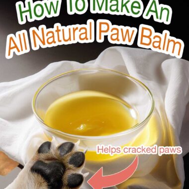 How To Make An All Natural Paw Balm