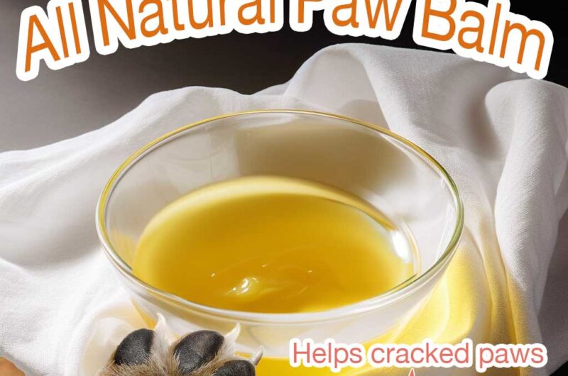 How To Make An All Natural Paw Balm