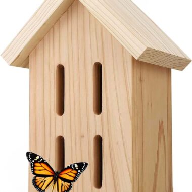 How to Build A Butterfly House and Why You Need To