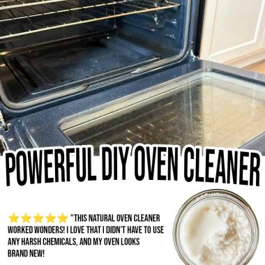 Powerful DIY Oven Cleaner