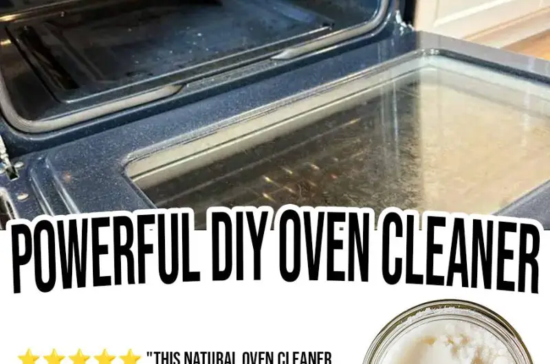 Powerful DIY Oven Cleaner