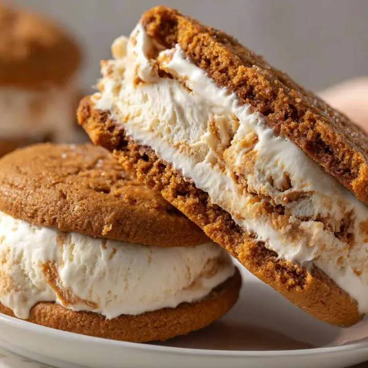 Cookie Butter Ice Cream Sandwiches