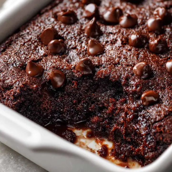 Fudgy Chocolate Dump Cake